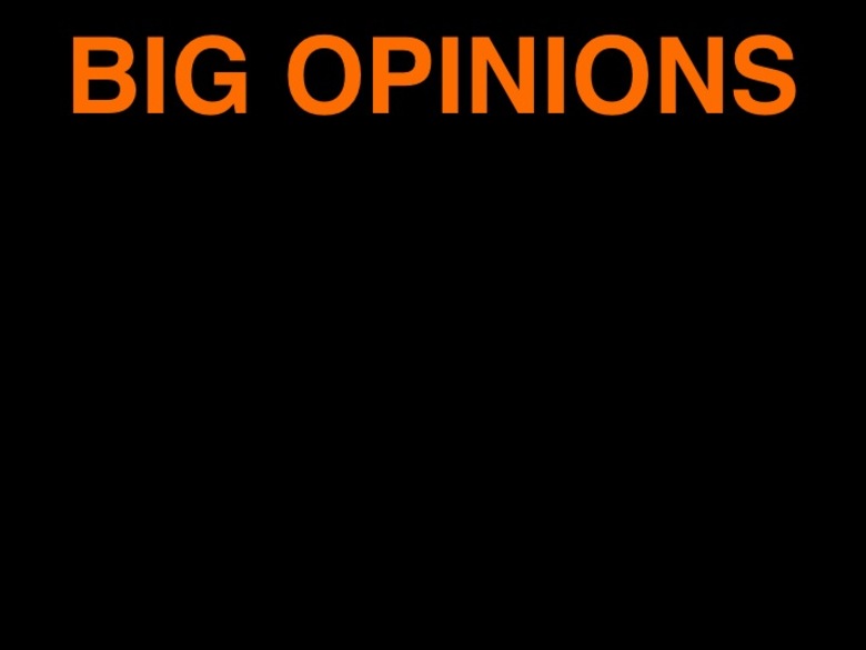 3. BIG OPINIONS, 2008 AGS.ppsx