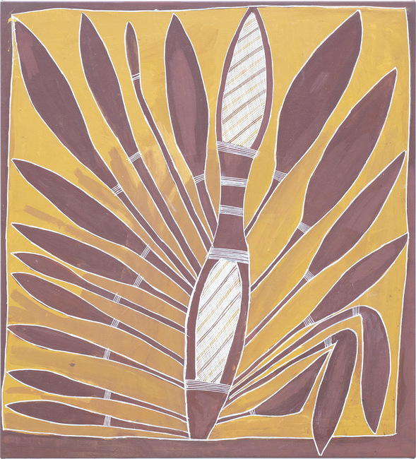 Wurrutjara (Sand Palm)
