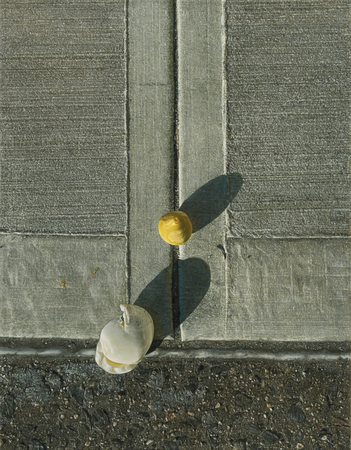 Learning through observation (Egg)